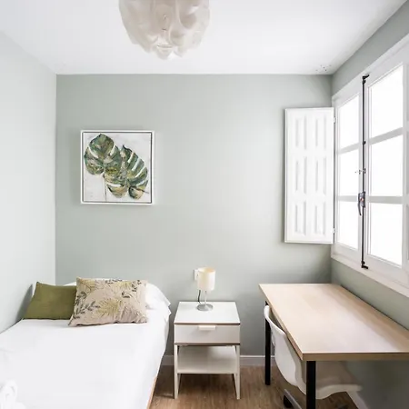 Apartment Palm By Time