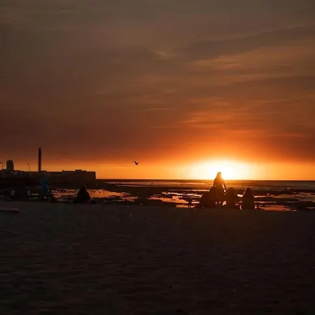 Palm By Time Cadiz